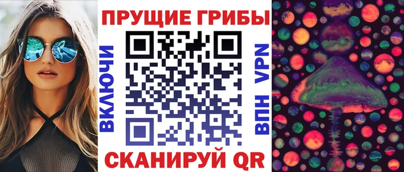 Галлюциногенные грибы MAGIC MUSHROOMS цена наркотик omg ссылка Люберцы